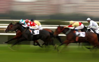 Bag kulisserne ved hestevæddeløb med høje indsatser